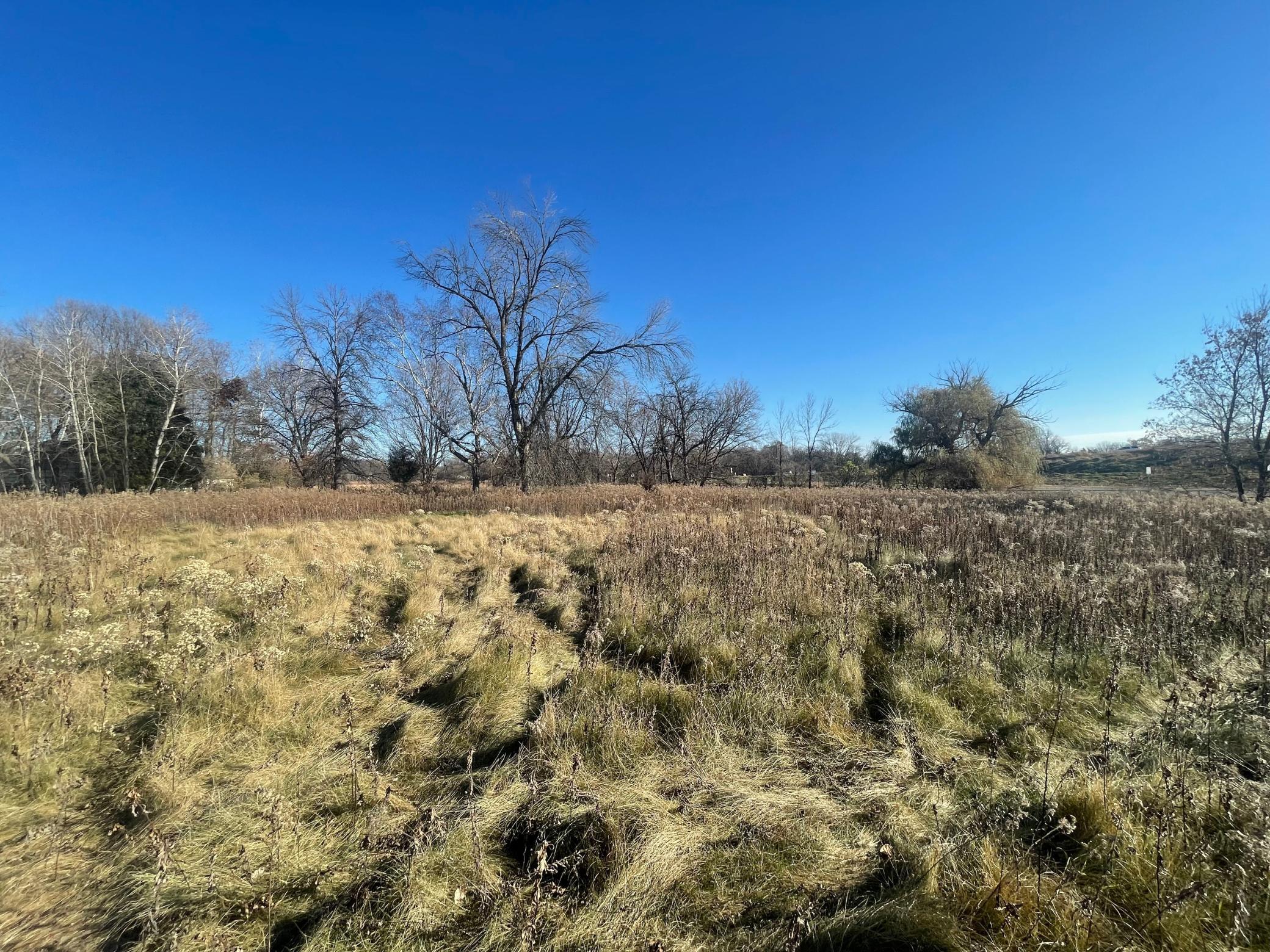 View of Land at TBD Forest Boulevard, Forest Lake MN 55025, Forest Lake (19 of 24) - Mike Wilen | Minnesota Team Real Estate