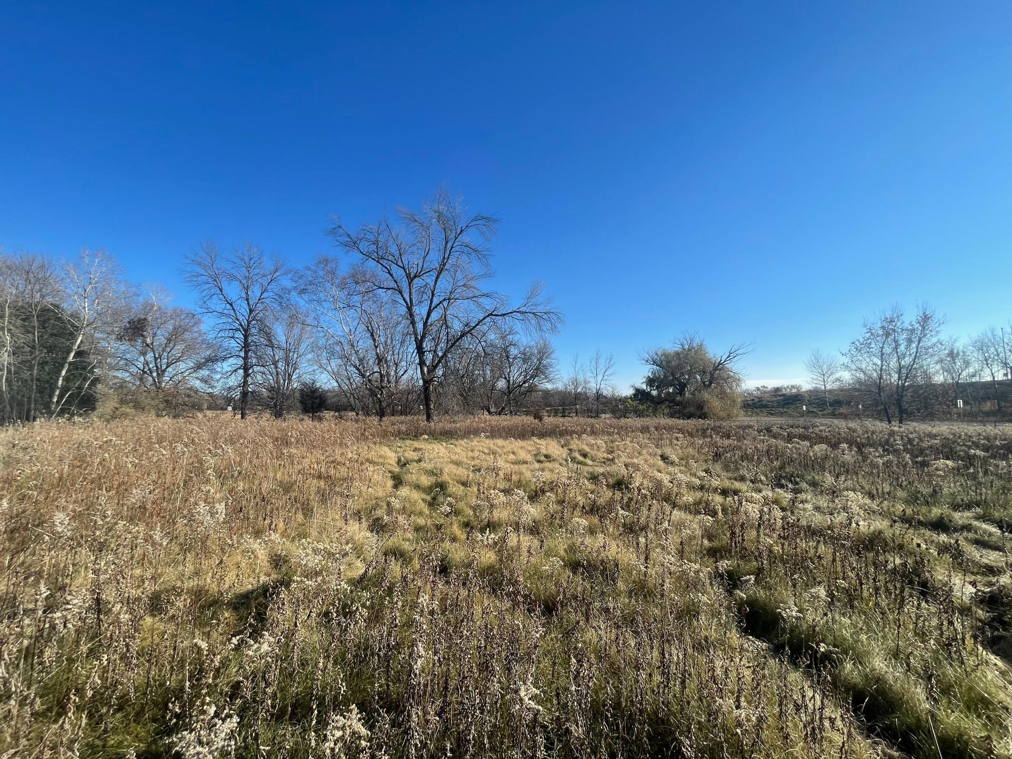 View of Land at TBD Forest Boulevard, Forest Lake MN 55025, Forest Lake (14 of 24) - Mike Wilen | Minnesota Team Real Estate