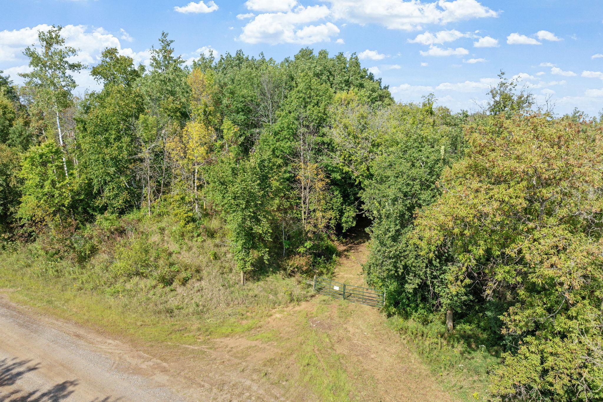 View of Land at TBD - B Pinnaker Road, Nowthen MN 55330, Nowthen - Mike Wilen | Minnesota Team Real Estate