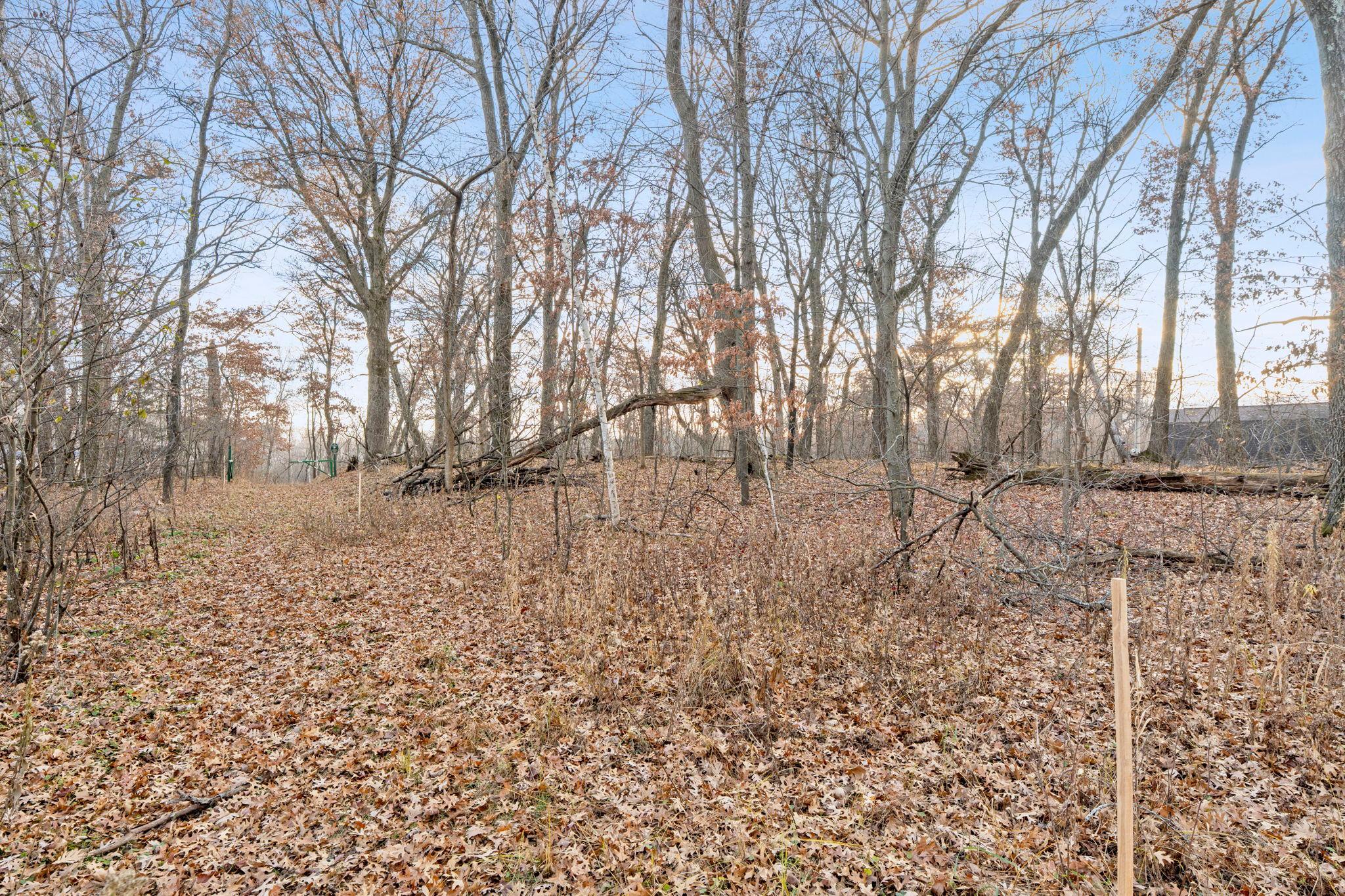 View of Land at TBD 97 1/2 Street, Zimmerman MN 55398, Zimmerman (18 of 43) - Mike Wilen | Minnesota Team Real Estate