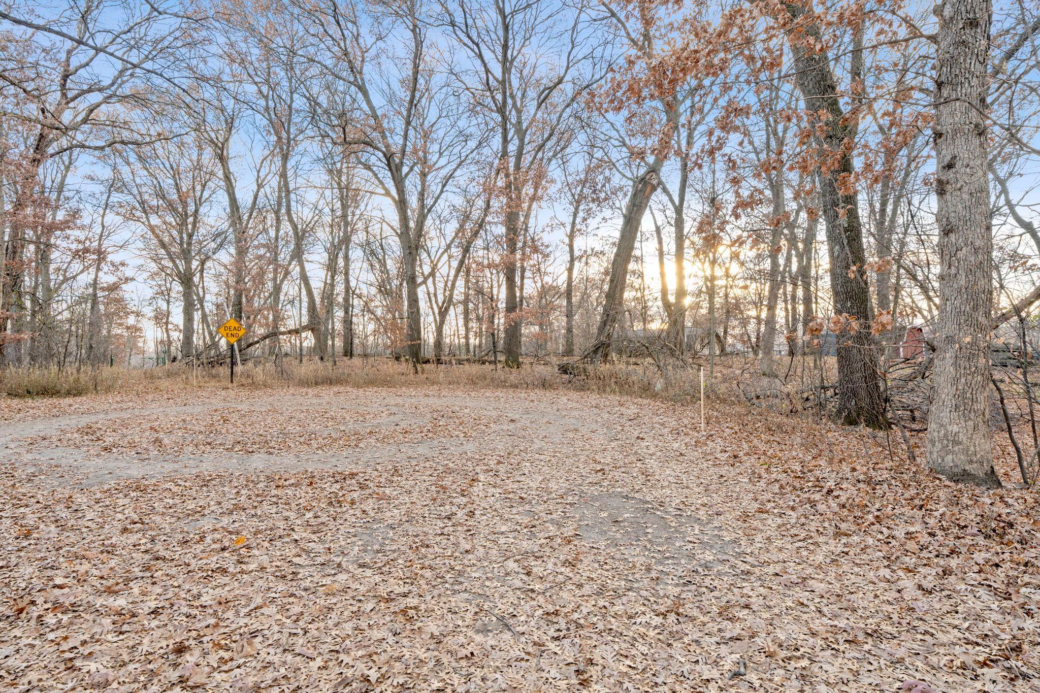 View of Land at TBD 97 1/2 Street, Zimmerman MN 55398, Zimmerman (17 of 43) - Mike Wilen | Minnesota Team Real Estate