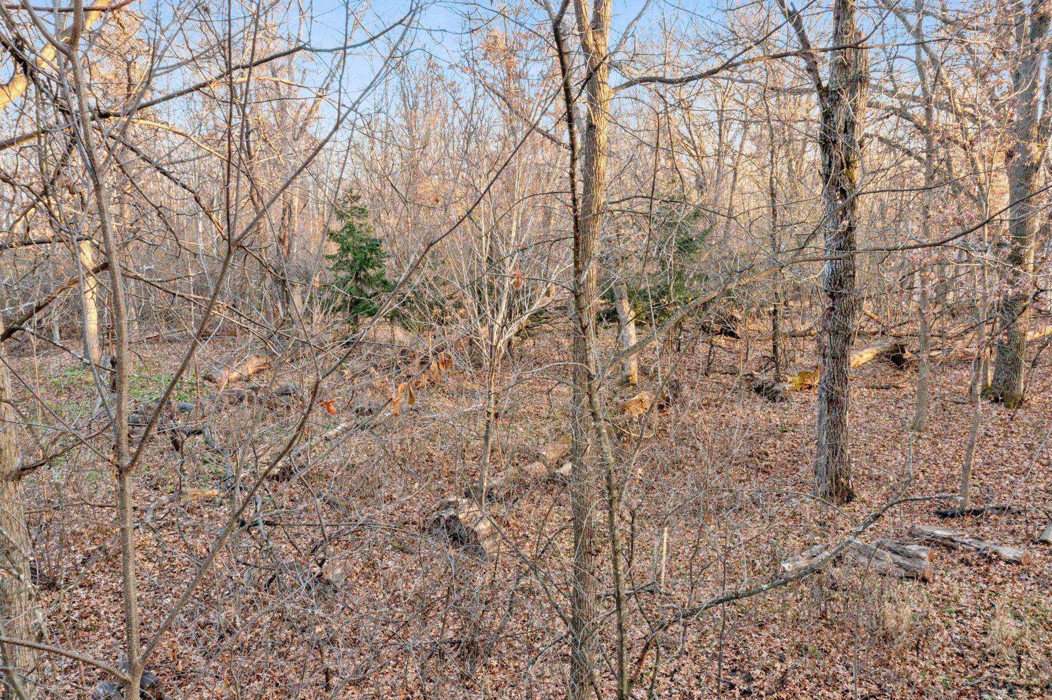 View of Land at TBD 97 1/2 Street, Zimmerman MN 55398, Zimmerman (16 of 43) - Mike Wilen | Minnesota Team Real Estate