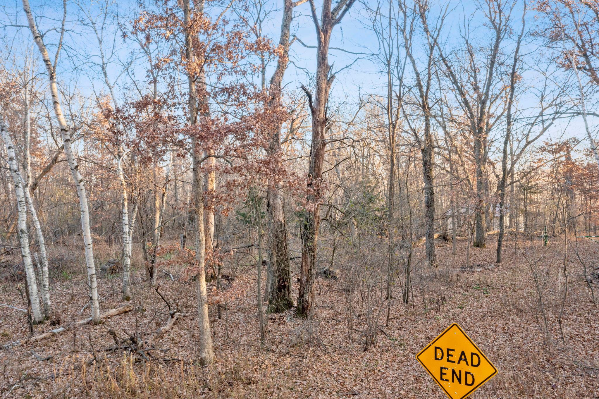 View of Land at TBD 97 1/2 Street, Zimmerman MN 55398, Zimmerman (14 of 43) - Mike Wilen | Minnesota Team Real Estate