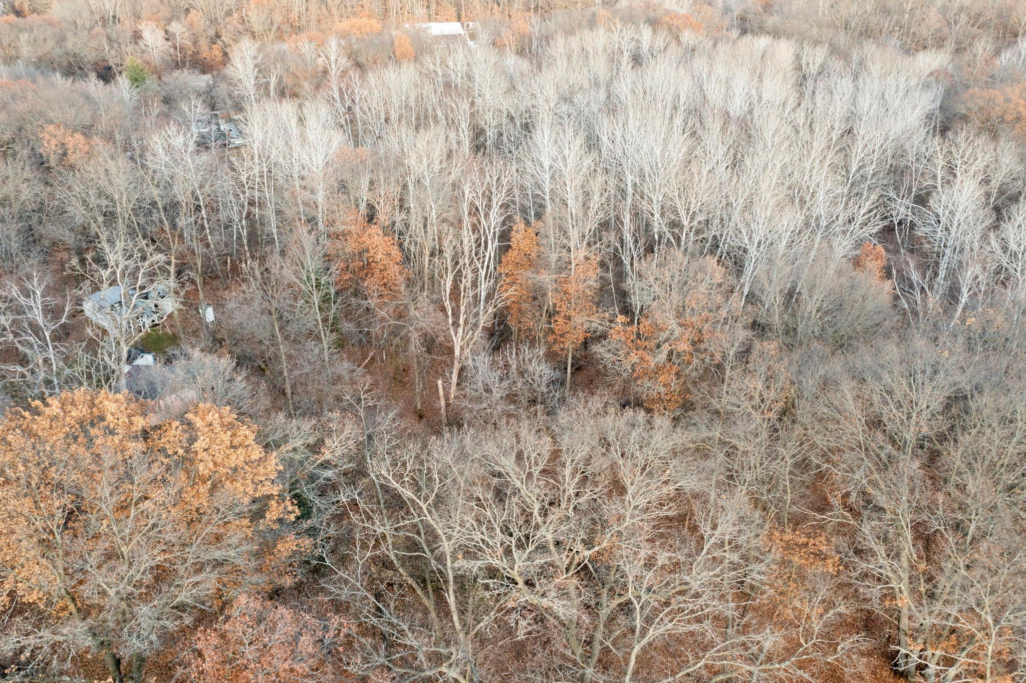 View of Land at TBD 97 1/2 Street, Zimmerman MN 55398, Zimmerman (33 of 43) - Mike Wilen | Minnesota Team Real Estate