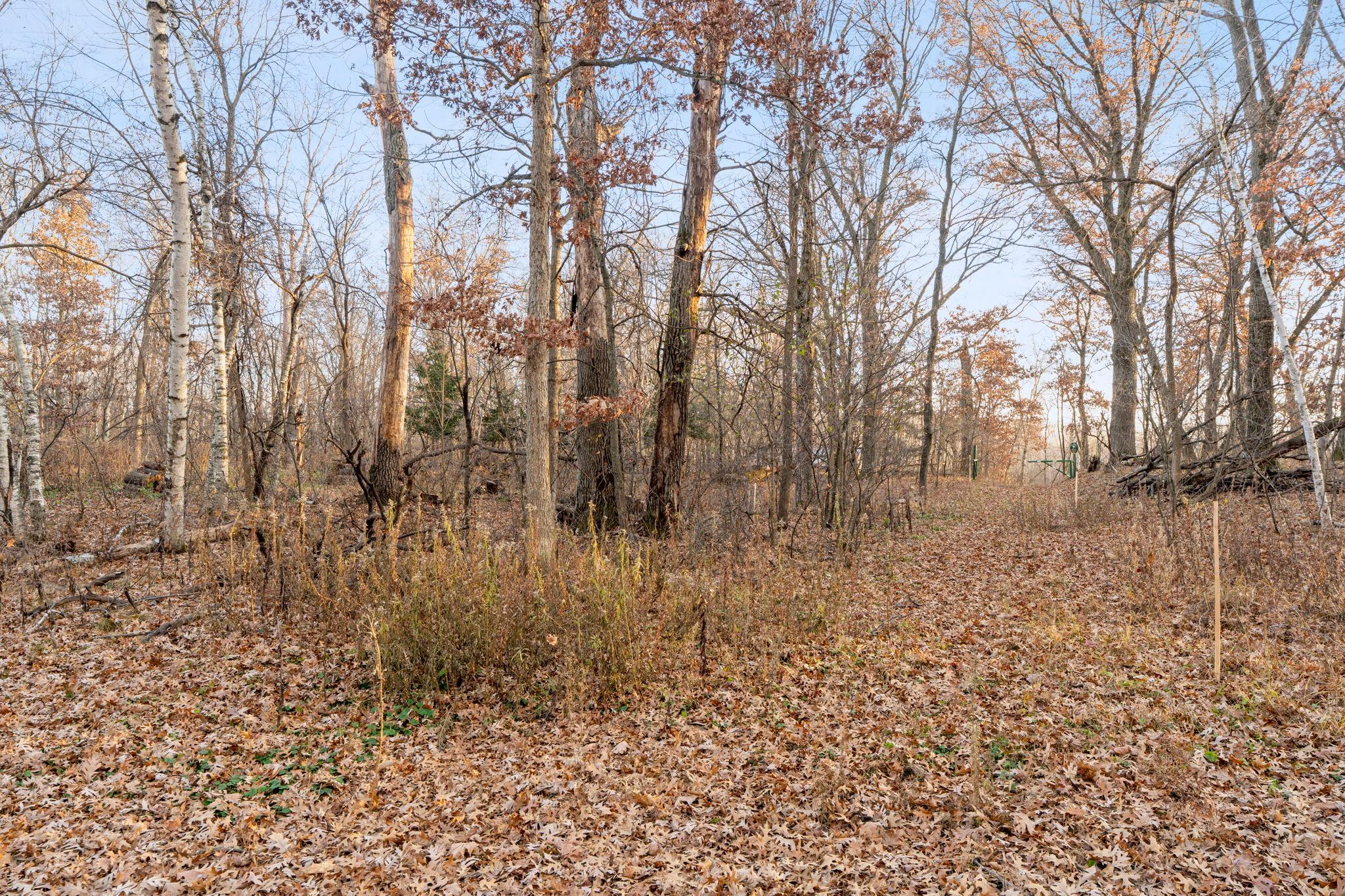 View of Land at TBD 97 1/2 Street, Zimmerman MN 55398, Zimmerman (9 of 43) - Mike Wilen | Minnesota Team Real Estate