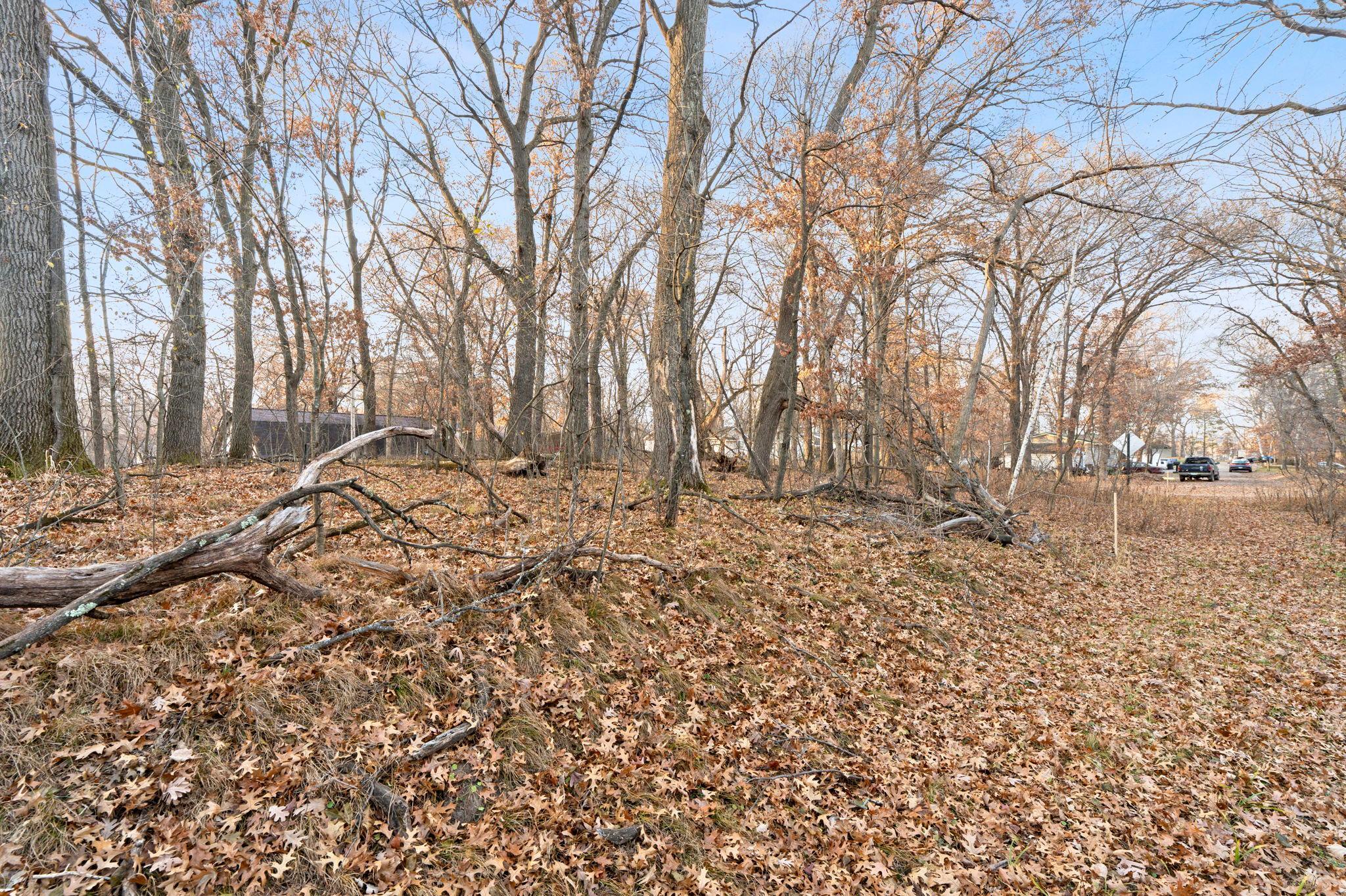View of Land at TBD 97 1/2 Street, Zimmerman MN 55398, Zimmerman (7 of 43) - Mike Wilen | Minnesota Team Real Estate