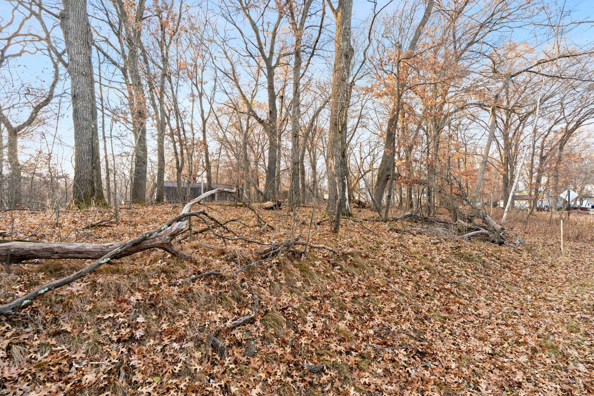 View of Land at TBD 97 1/2 Street, Zimmerman MN 55398, Zimmerman (6 of 43) - Mike Wilen | Minnesota Team Real Estate
