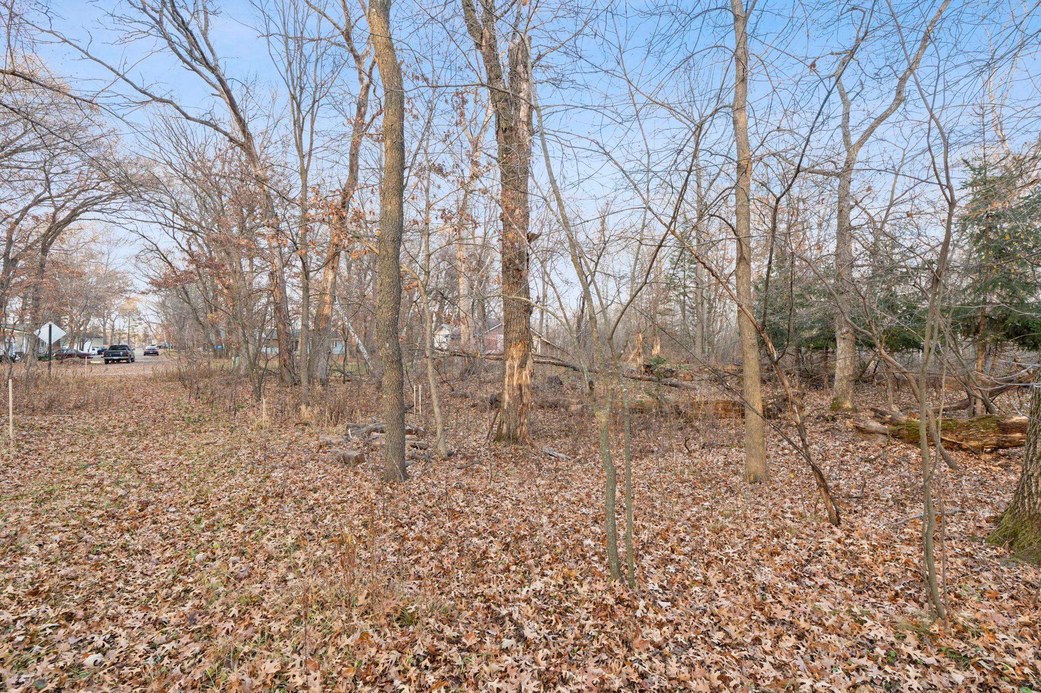 View of Land at TBD 97 1/2 Street, Zimmerman MN 55398, Zimmerman (5 of 43) - Mike Wilen | Minnesota Team Real Estate