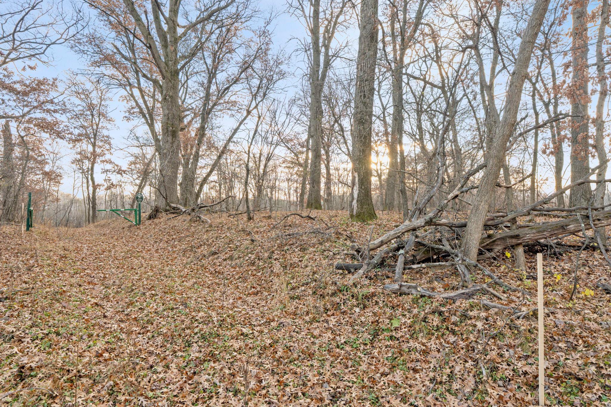 View of Land at TBD 97 1/2 Street, Zimmerman MN 55398, Zimmerman (4 of 43) - Mike Wilen | Minnesota Team Real Estate