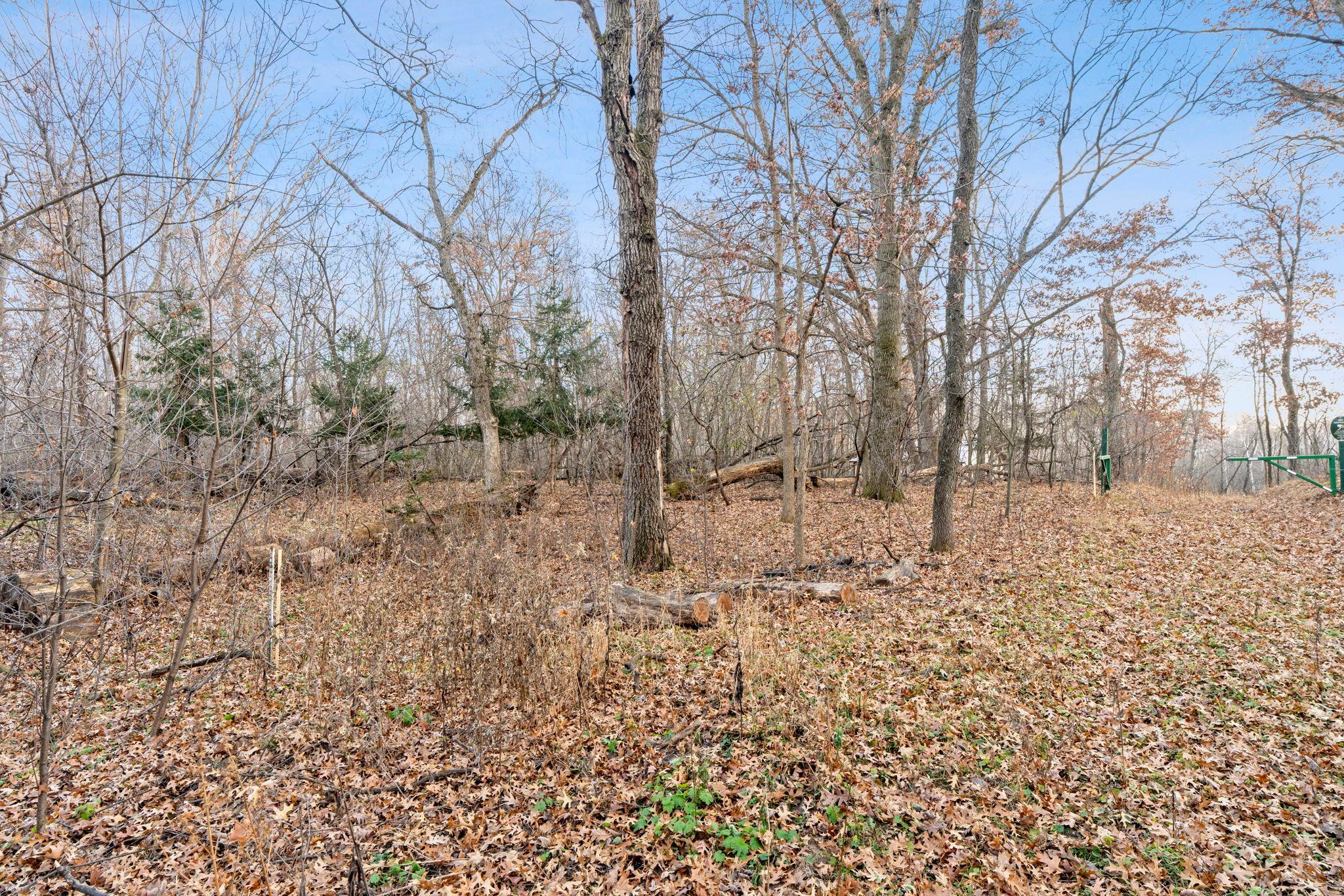 View of Land at TBD 97 1/2 Street, Zimmerman MN 55398, Zimmerman (3 of 43) - Mike Wilen | Minnesota Team Real Estate