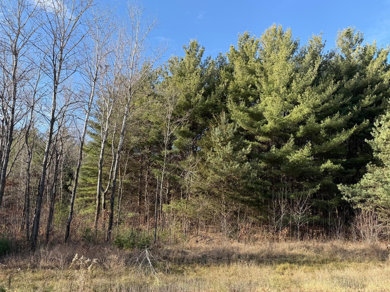View of Land at L10,Blk1 177th Street, Big Lake MN 55309, Big Lake - Mike Wilen | Minnesota Team Real Estate