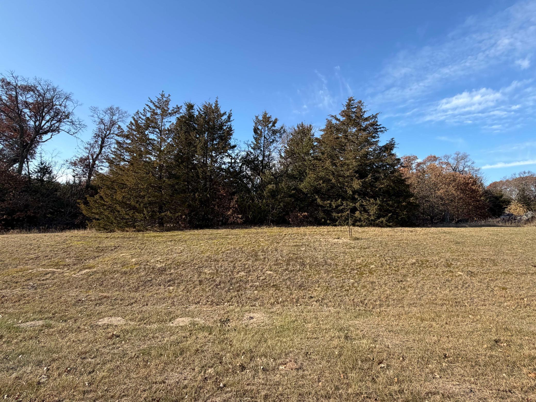 View of Land at TBD 244th Avenue, Zimmerman MN 55398, Zimmerman - Mike Wilen | Minnesota Team Real Estate