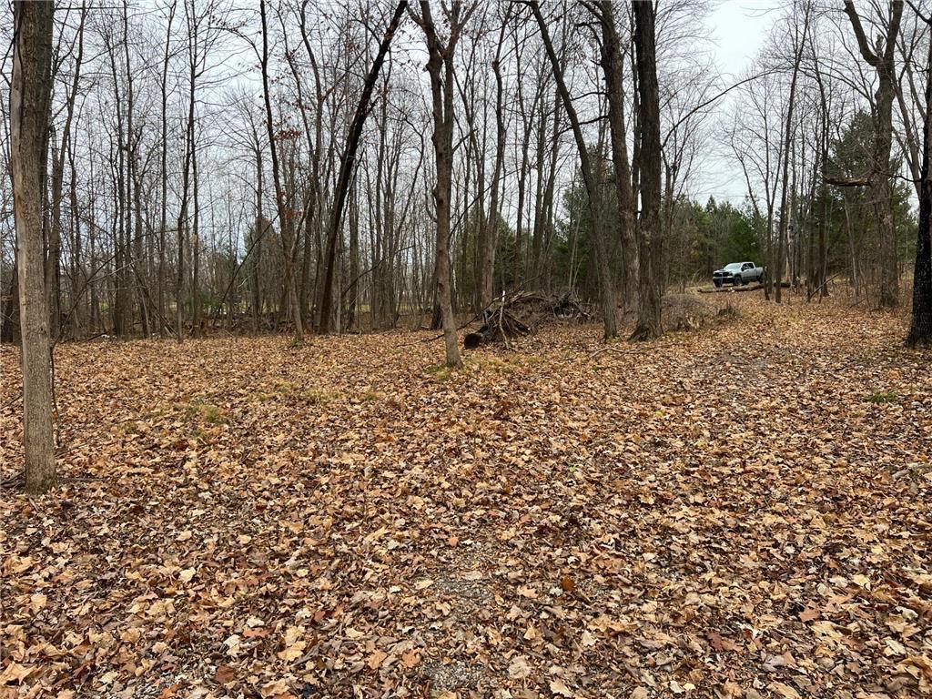 View of Land at 000 Maple Knoll Rd, Pine City MN 55063, Pine City (15 of 19) - Mike Wilen | Minnesota Team Real Estate