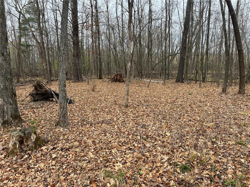 View of Land at 000 Maple Knoll Rd, Pine City MN 55063, Pine City (14 of 19) - Mike Wilen | Minnesota Team Real Estate