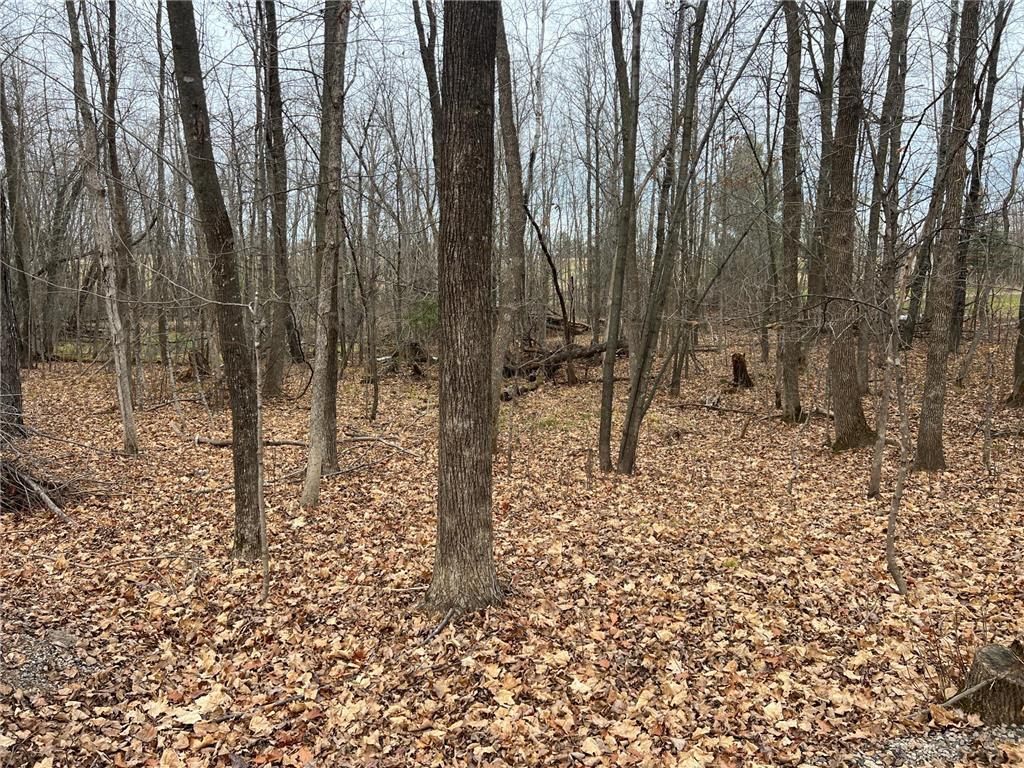 View of Land at 000 Maple Knoll Rd, Pine City MN 55063, Pine City (12 of 19) - Mike Wilen | Minnesota Team Real Estate