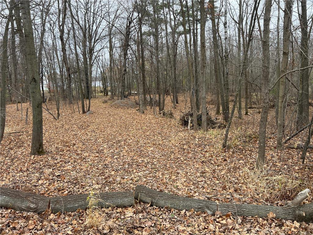 View of Land at 000 Maple Knoll Rd, Pine City MN 55063, Pine City (11 of 19) - Mike Wilen | Minnesota Team Real Estate