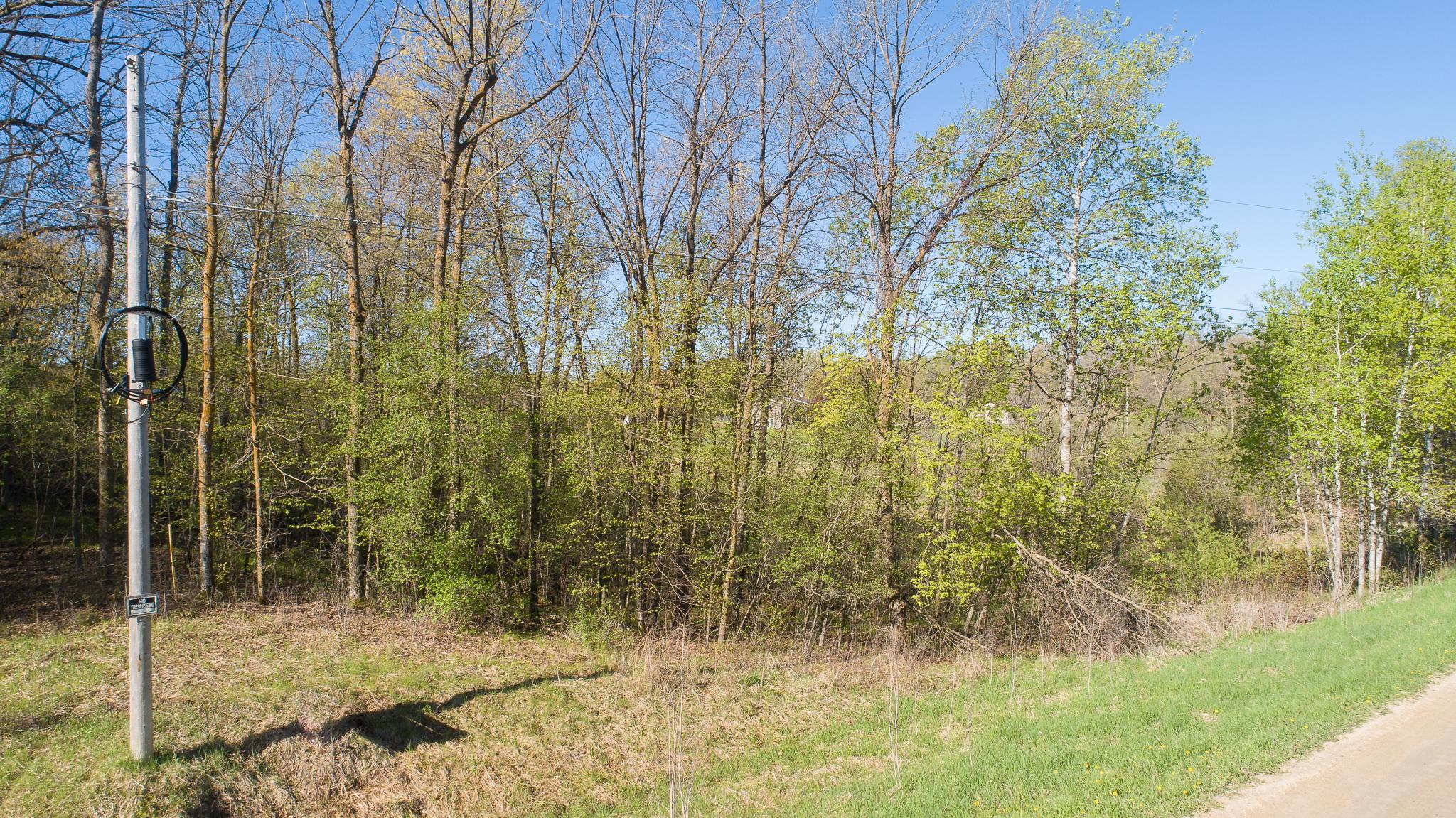 View of Land at TBD Spring Lake Road, North Branch MN 55056, North Branch (30 of 31) - Mike Wilen | Minnesota Team Real Estate