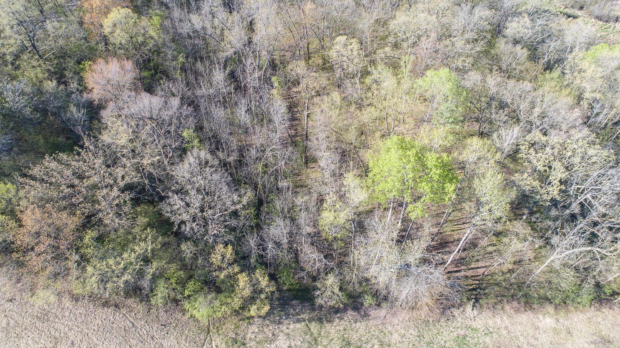 View of Land at TBD Spring Lake Road, North Branch MN 55056, North Branch (27 of 31) - Mike Wilen | Minnesota Team Real Estate