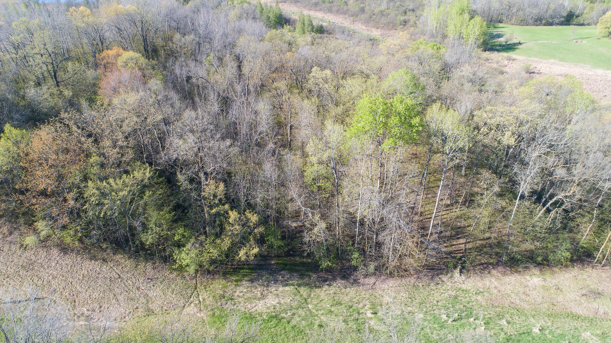 View of Land at TBD Spring Lake Road, North Branch MN 55056, North Branch (26 of 31) - Mike Wilen | Minnesota Team Real Estate