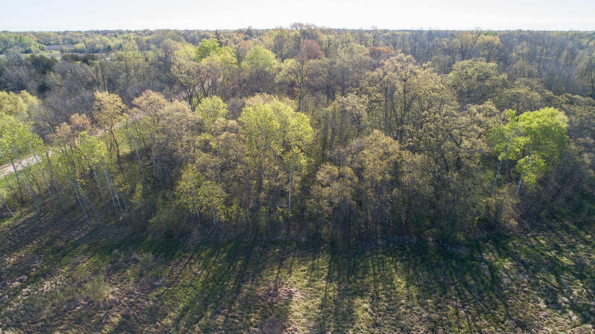 View of Land at TBD Spring Lake Road, North Branch MN 55056, North Branch (23 of 31) - Mike Wilen | Minnesota Team Real Estate