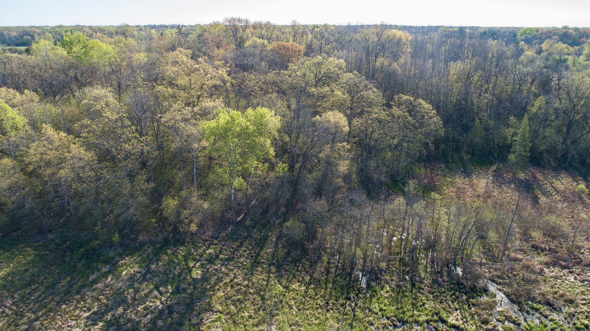 View of Land at TBD Spring Lake Road, North Branch MN 55056, North Branch (22 of 31) - Mike Wilen | Minnesota Team Real Estate