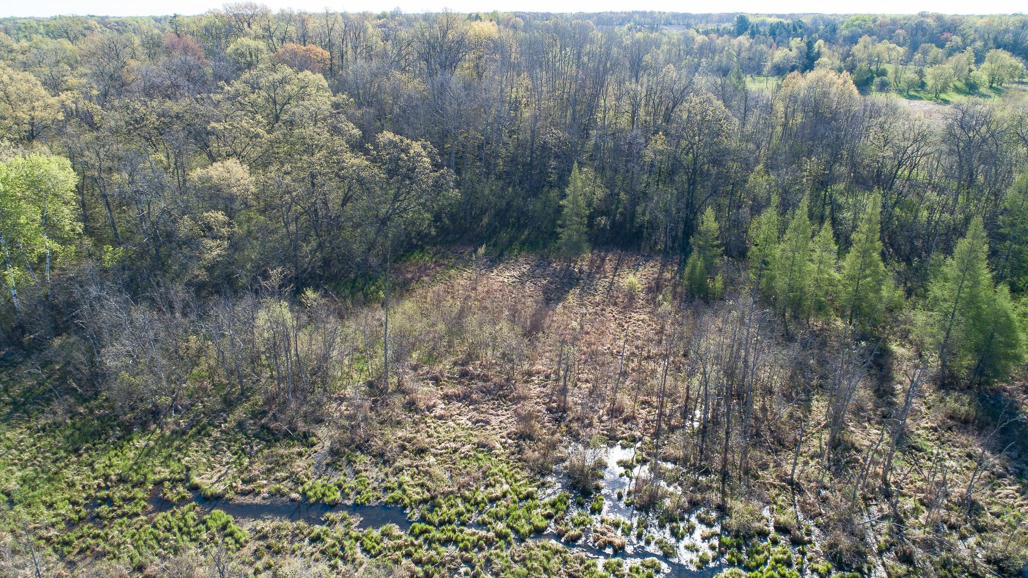 View of Land at TBD Spring Lake Road, North Branch MN 55056, North Branch (10 of 31) - Mike Wilen | Minnesota Team Real Estate