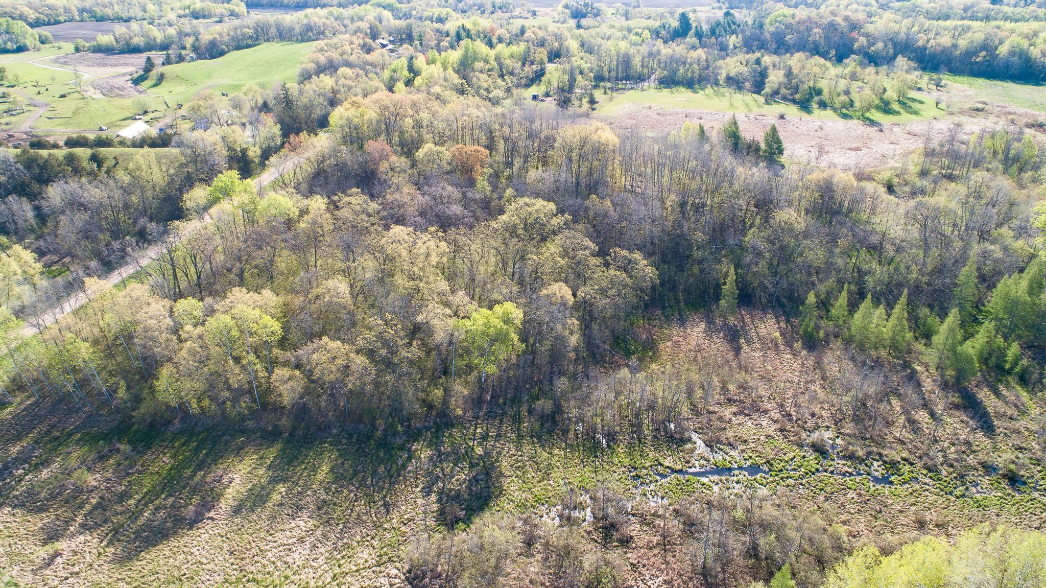 View of Land at TBD Spring Lake Road, North Branch MN 55056, North Branch (20 of 31) - Mike Wilen | Minnesota Team Real Estate
