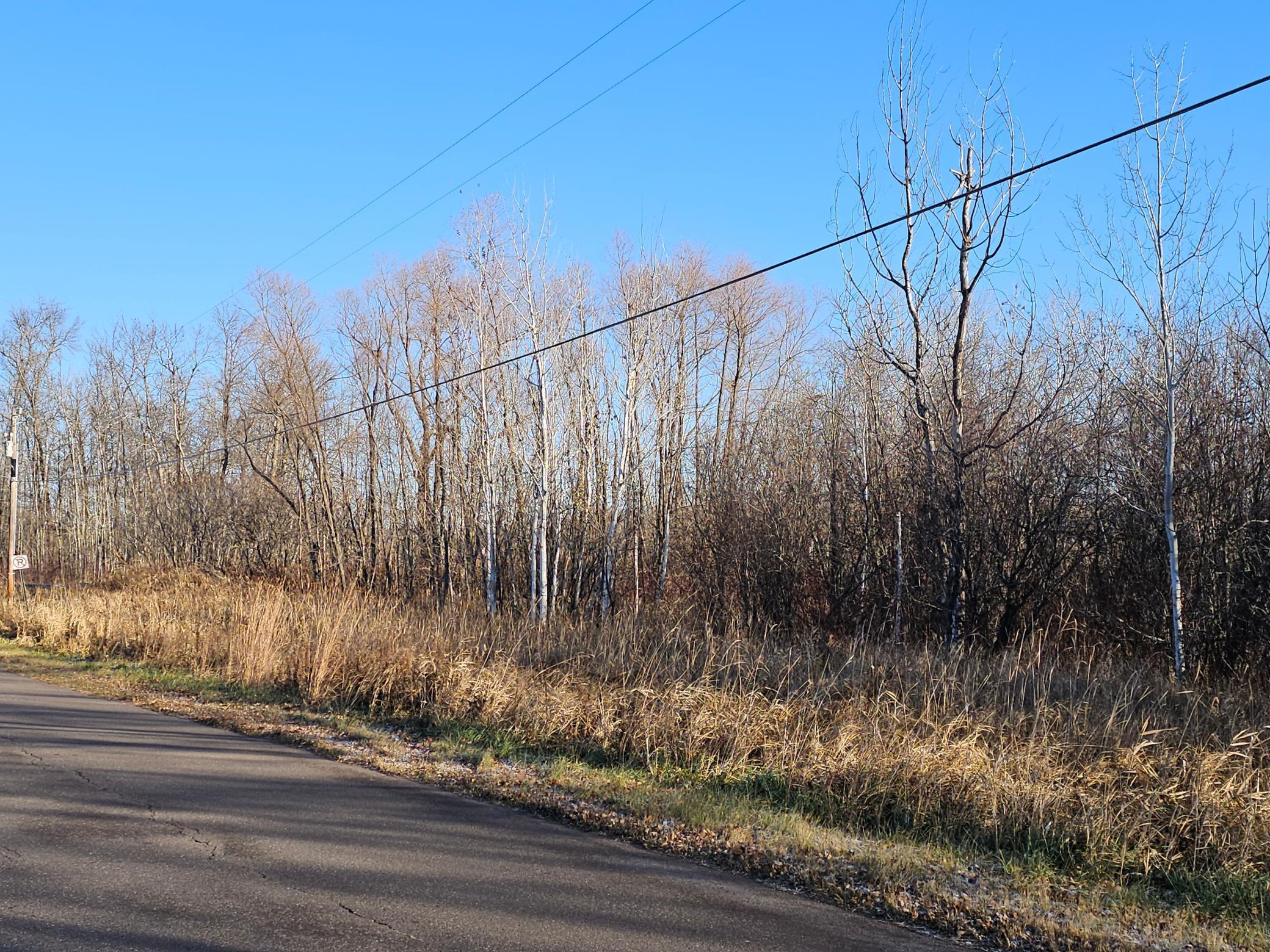 View of Land at TBD Whistle Road/Hwy 47, Isle MN 56342, Isle (3 of 9) - Mike Wilen | Minnesota Team Real Estate