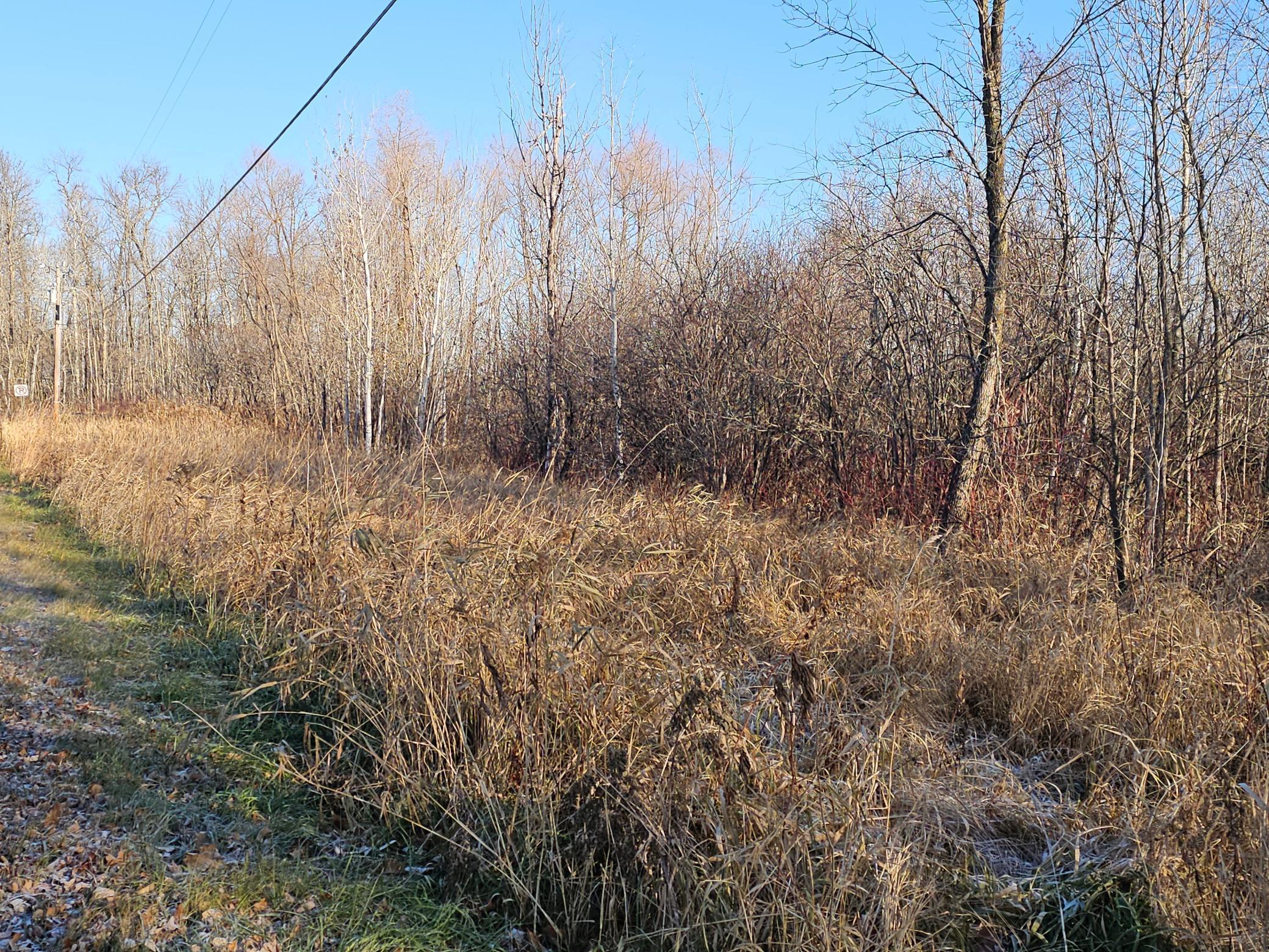 View of Land at TBD Whistle Road/Hwy 47, Isle MN 56342, Isle (6 of 9) - Mike Wilen | Minnesota Team Real Estate