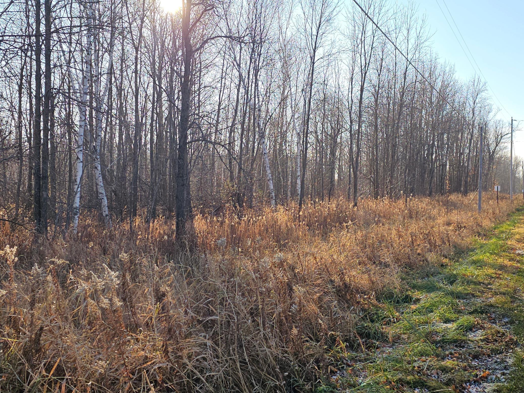 View of Land at TBD Whistle Road/Hwy 47, Isle MN 56342, Isle (5 of 9) - Mike Wilen | Minnesota Team Real Estate