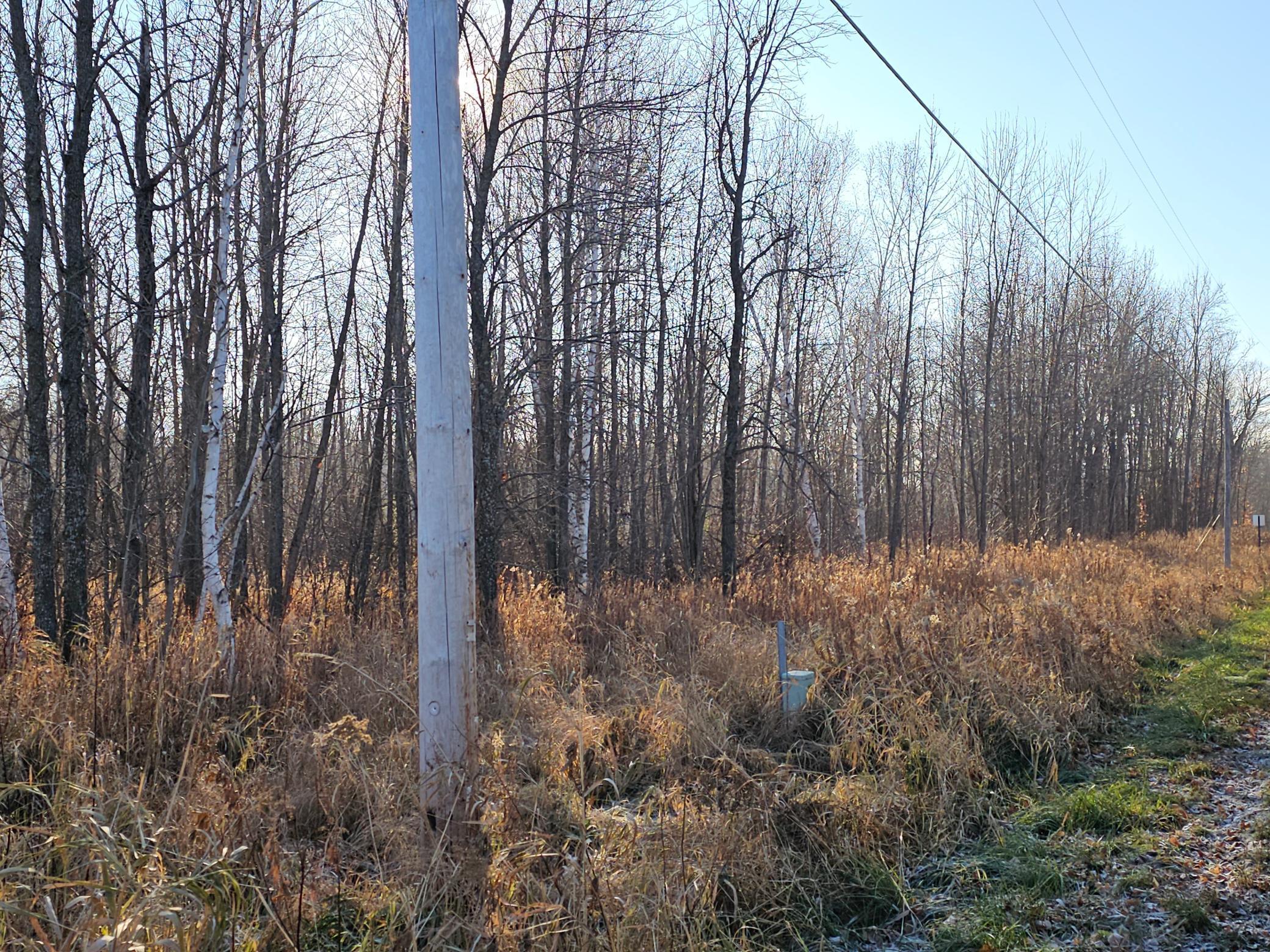 View of Land at TBD Whistle Road/Hwy 47, Isle MN 56342, Isle (8 of 9) - Mike Wilen | Minnesota Team Real Estate