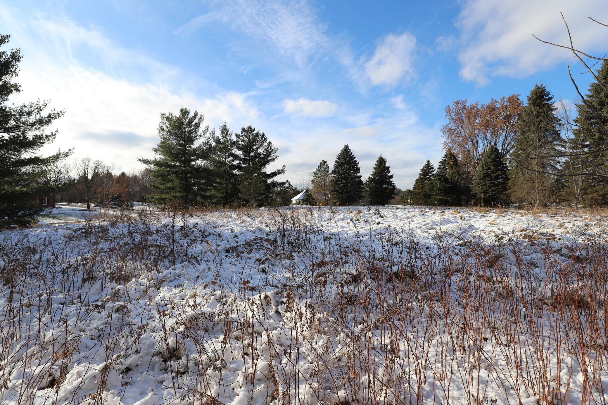 View of Land at 2 Spring Marsh Lane, North Oaks MN 55127, North Oaks - Mike Wilen | Minnesota Team Real Estate
