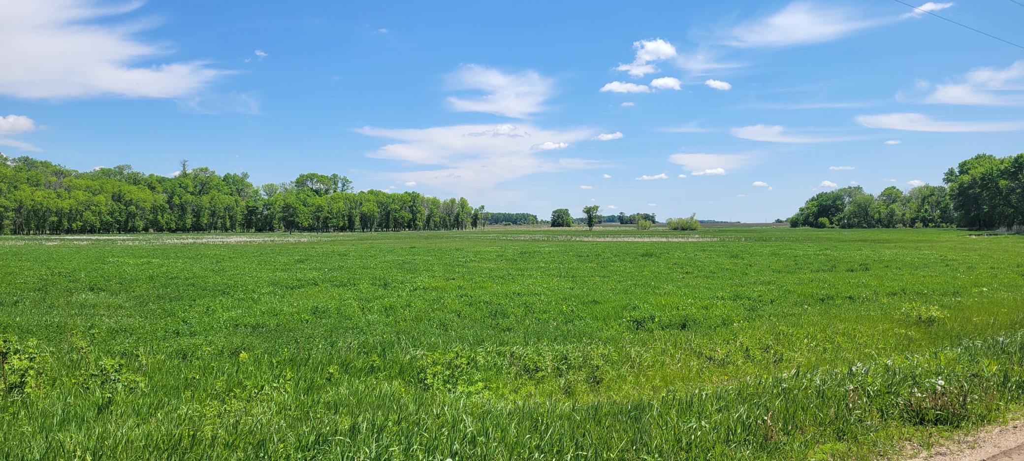 View of Land at XXX 455th Avenue, Arlington MN 55307, Arlington - Mike Wilen | Minnesota Team Real Estate