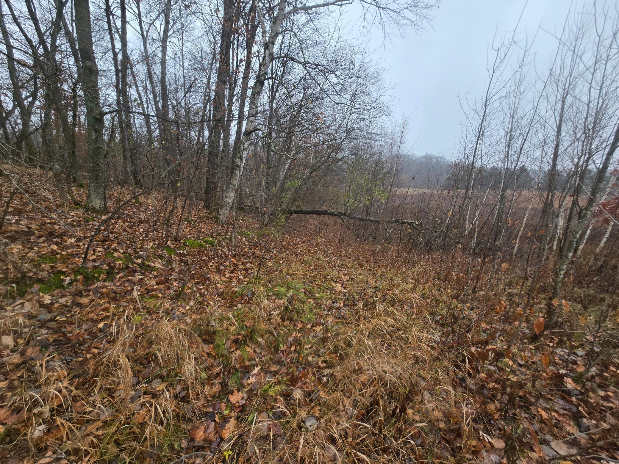 View of Land at xxxx 244th St N, Scandia MN 55073, Scandia (6 of 9) - Mike Wilen | Minnesota Team Real Estate