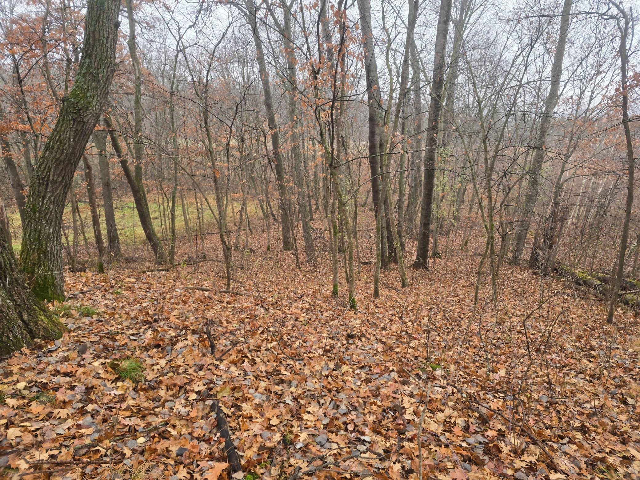 View of Land at xxxx 244th St N, Scandia MN 55073, Scandia (2 of 9) - Mike Wilen | Minnesota Team Real Estate