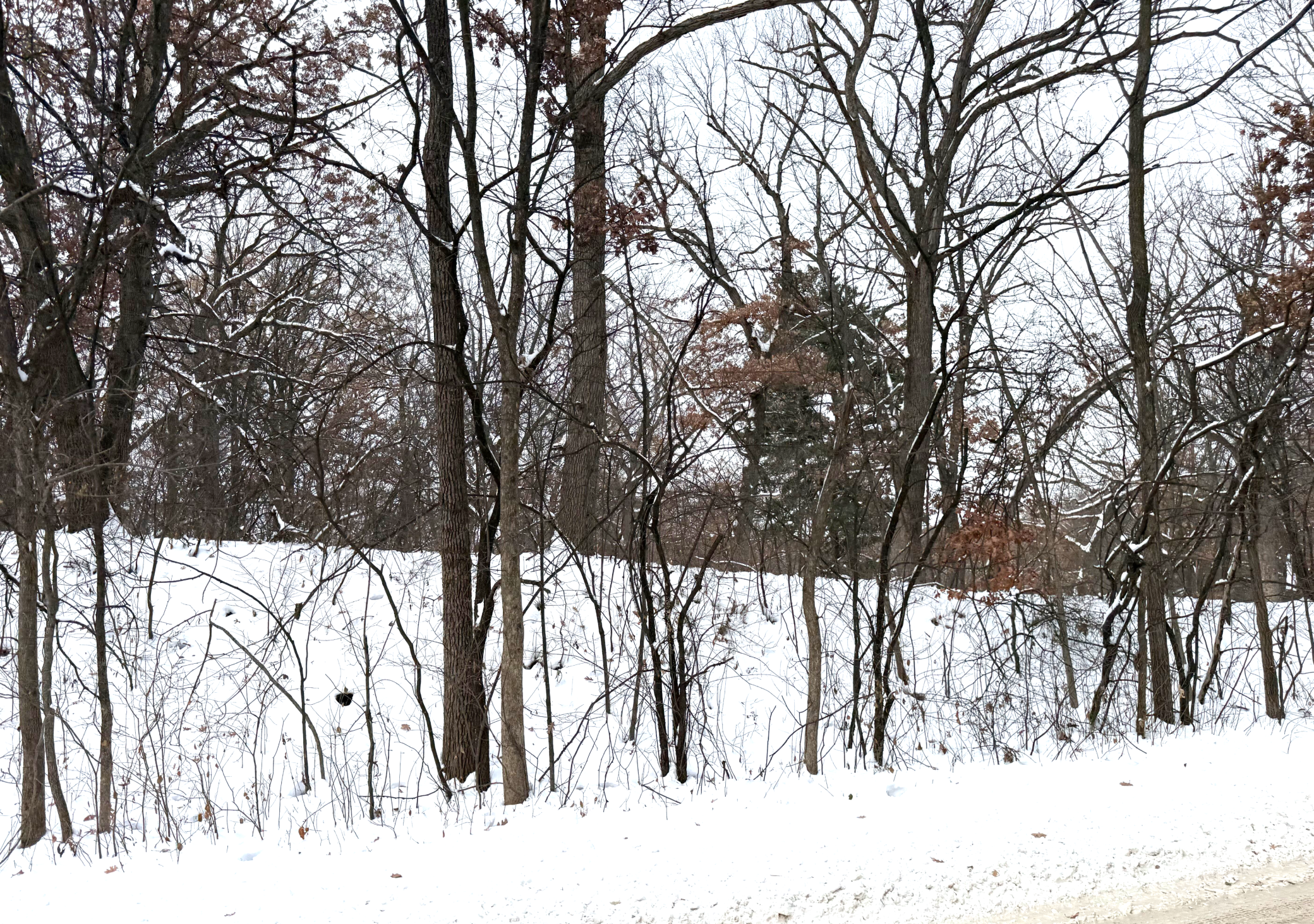 View of Land at 377 Totem Road, Saint Paul MN 55119, Saint Paul - Mike Wilen | Minnesota Team Real Estate