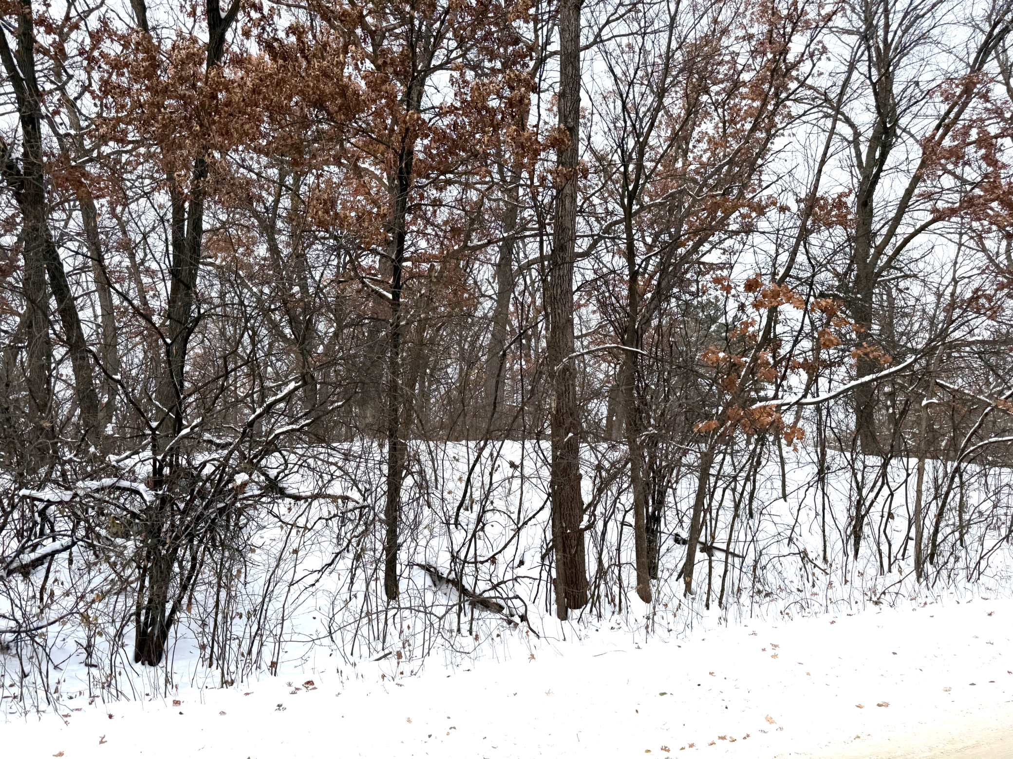 View of Land at 371 Totem Road, Saint Paul MN 55119, Saint Paul - Mike Wilen | Minnesota Team Real Estate