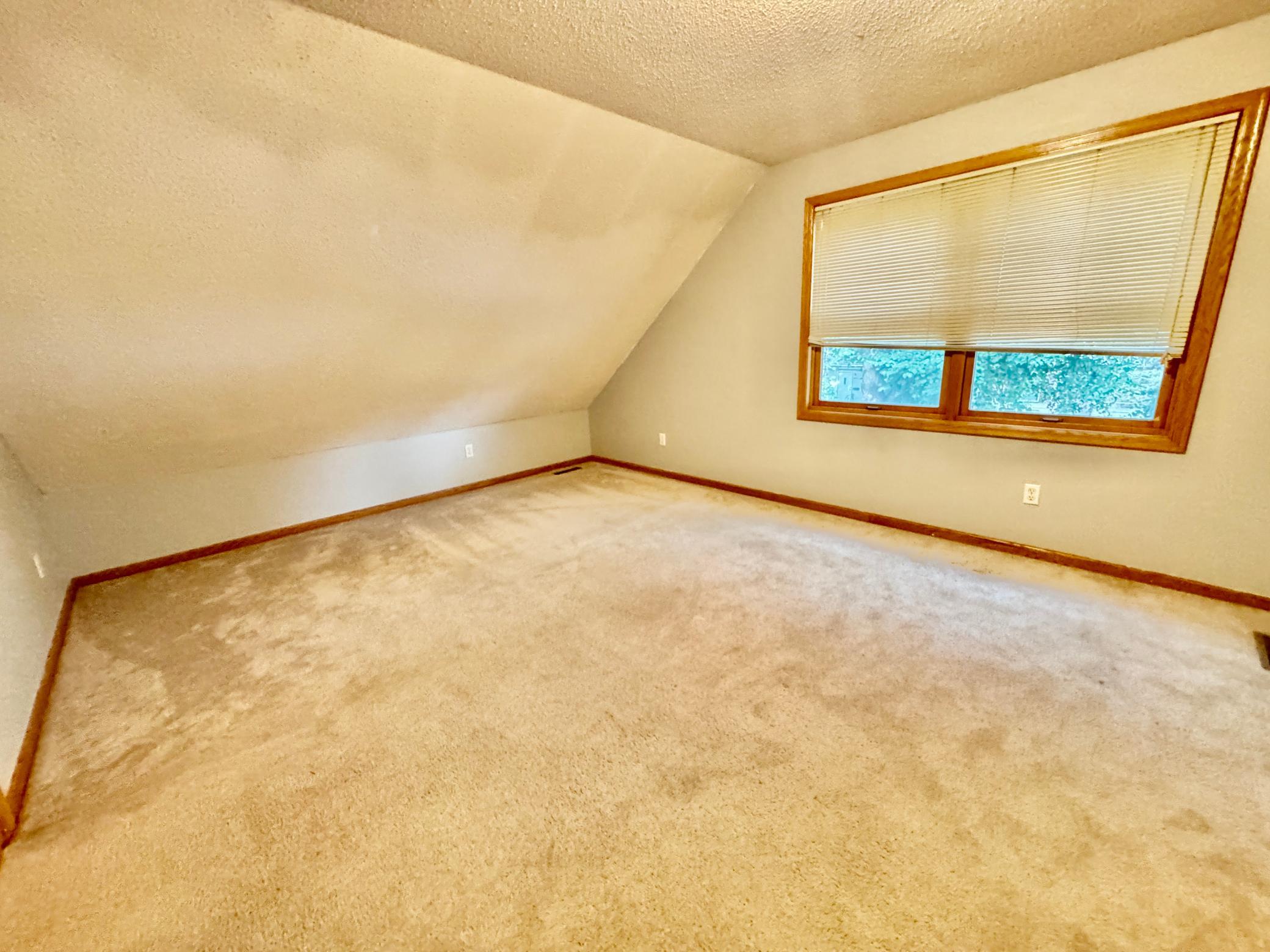 View of Residential at 5239 6th Street, Minneapolis MN 55430, Minneapolis (31 of 51) - Mike Wilen | Minnesota Team Real Estate