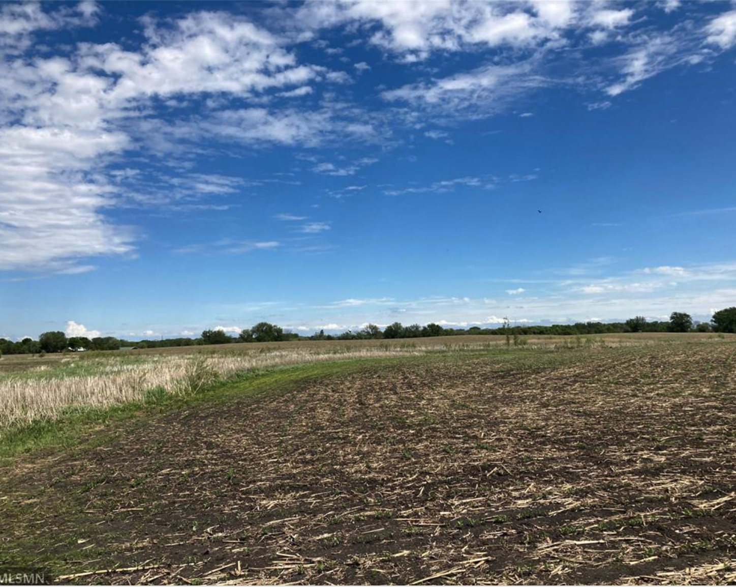 View of Land at Lot 1 Hwy 15, Brownton MN 55312, Brownton (4 of 20) - Mike Wilen | Minnesota Team Real Estate