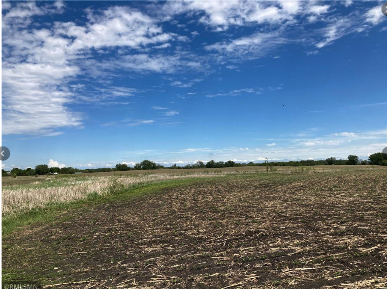 View of Land at Lot 1 Hwy 15, Brownton MN 55312, Brownton (2 of 20) - Mike Wilen | Minnesota Team Real Estate