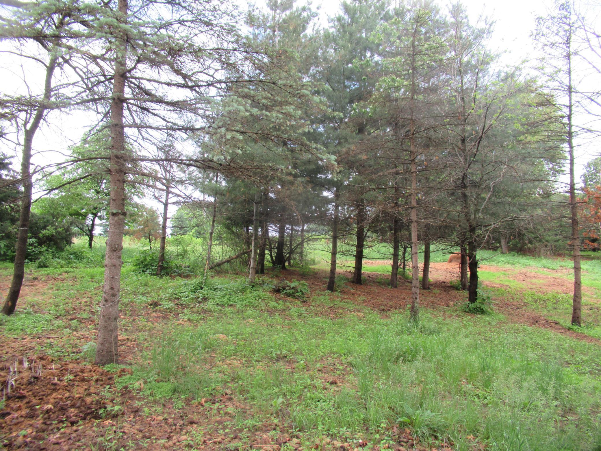 View of Residential at 17295 Ward Lake Drive, Andover MN 55304, Andover (37 of 40) - Mike Wilen | Minnesota Team Real Estate