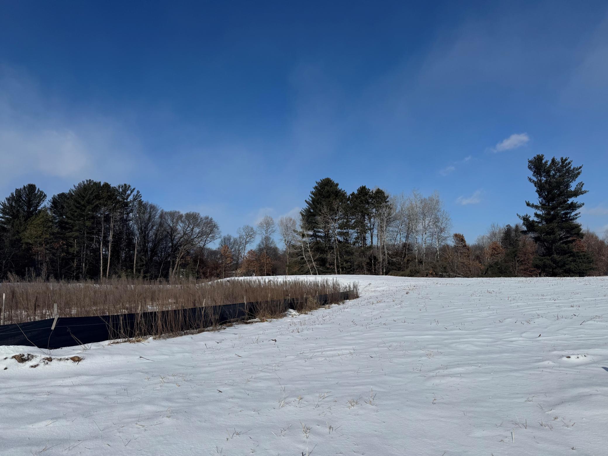 View of Land at 17982 Staples Street, Ham Lake MN 55304, Ham Lake - Mike Wilen | Minnesota Team Real Estate