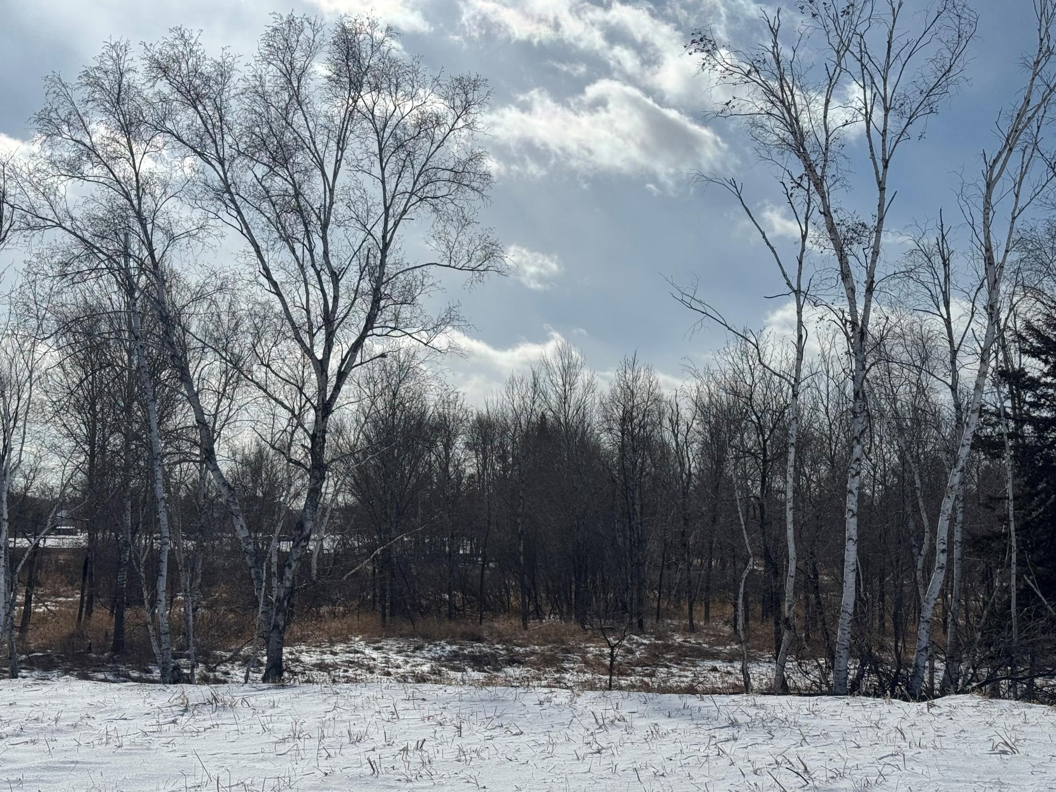 View of Land at 2458 179th Avenue, Ham Lake MN 55304, Ham Lake - Mike Wilen | Minnesota Team Real Estate