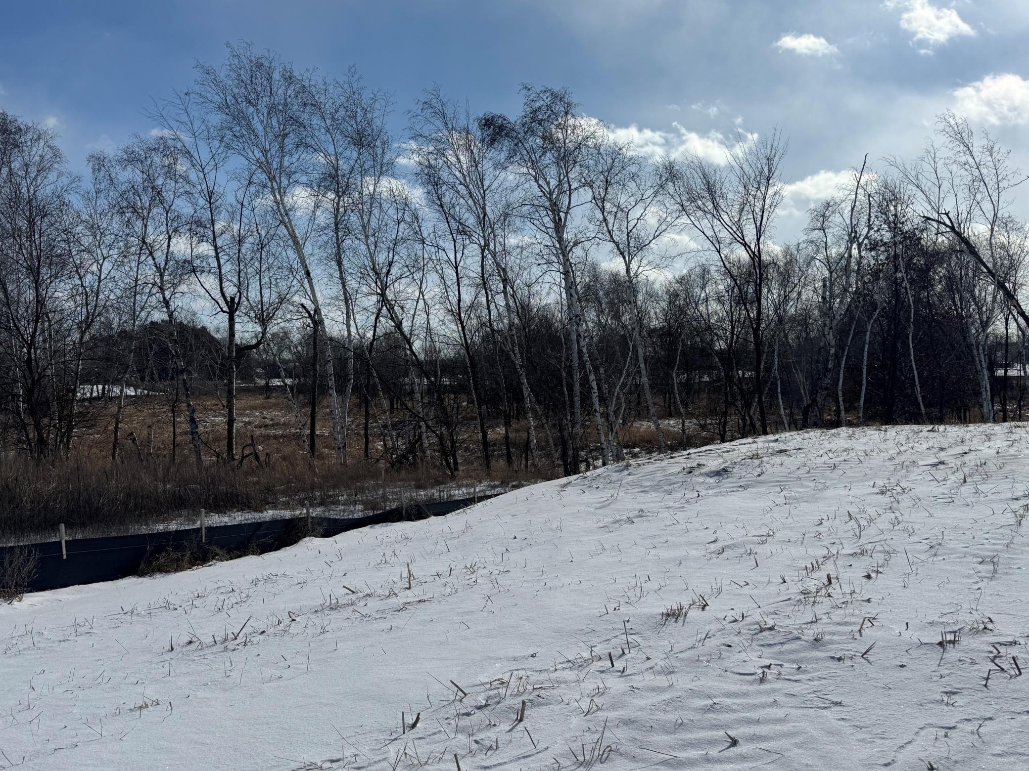 View of Land at 2458 179th Avenue, Ham Lake MN 55304, Ham Lake (5 of 7) - Mike Wilen | Minnesota Team Real Estate