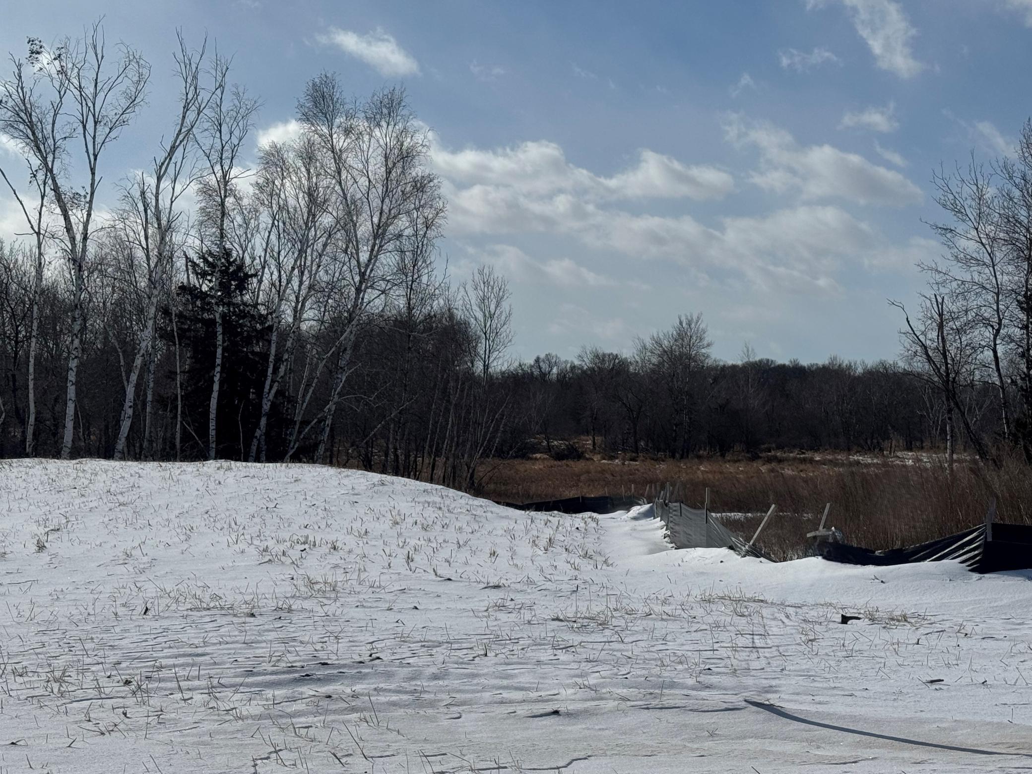 View of Land at 2458 179th Avenue, Ham Lake MN 55304, Ham Lake (6 of 7) - Mike Wilen | Minnesota Team Real Estate