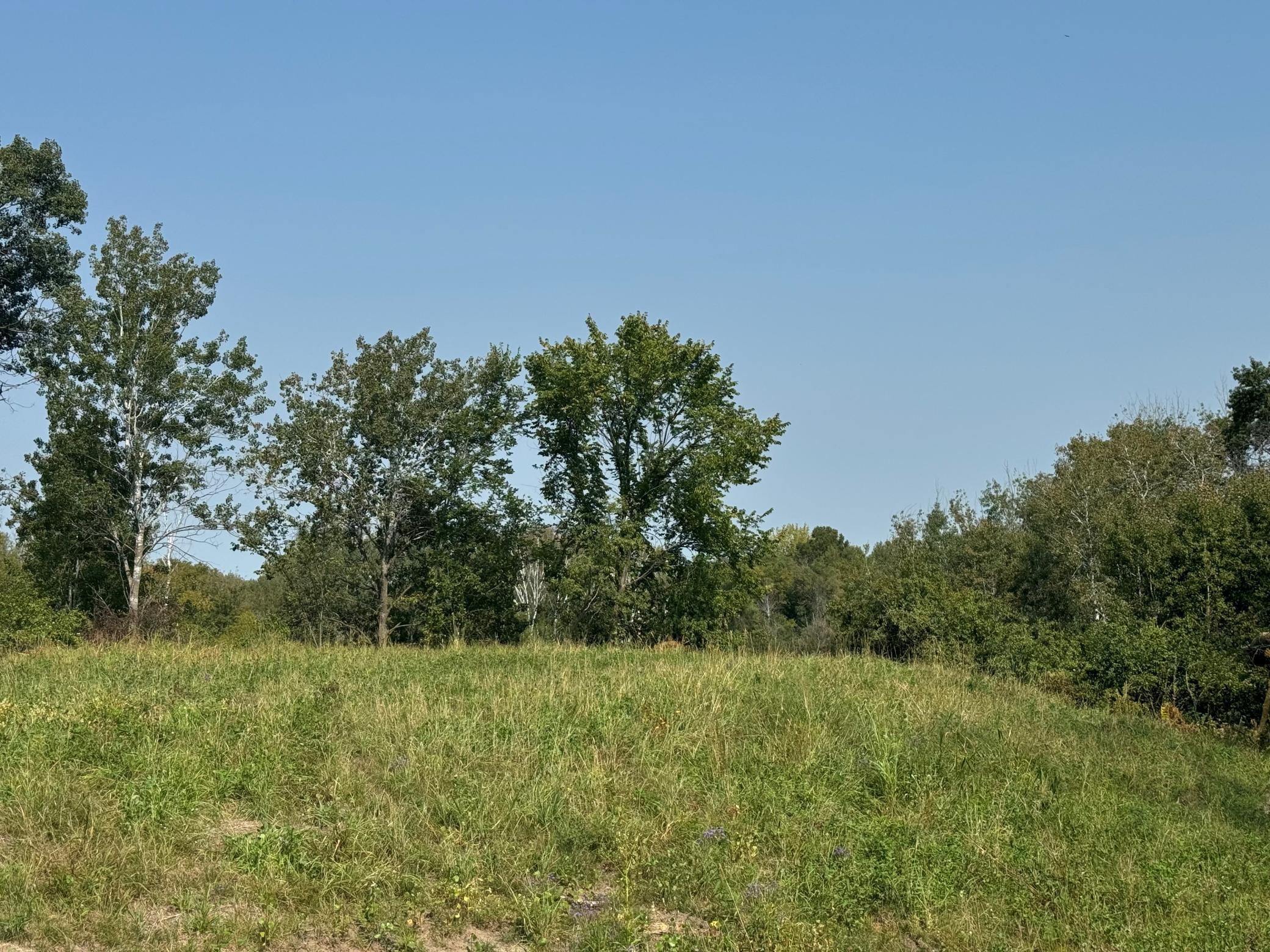 View of Land at 14985 Stutz Street, Ham Lake - Mike Wilen | Minnesota Team Real Estate