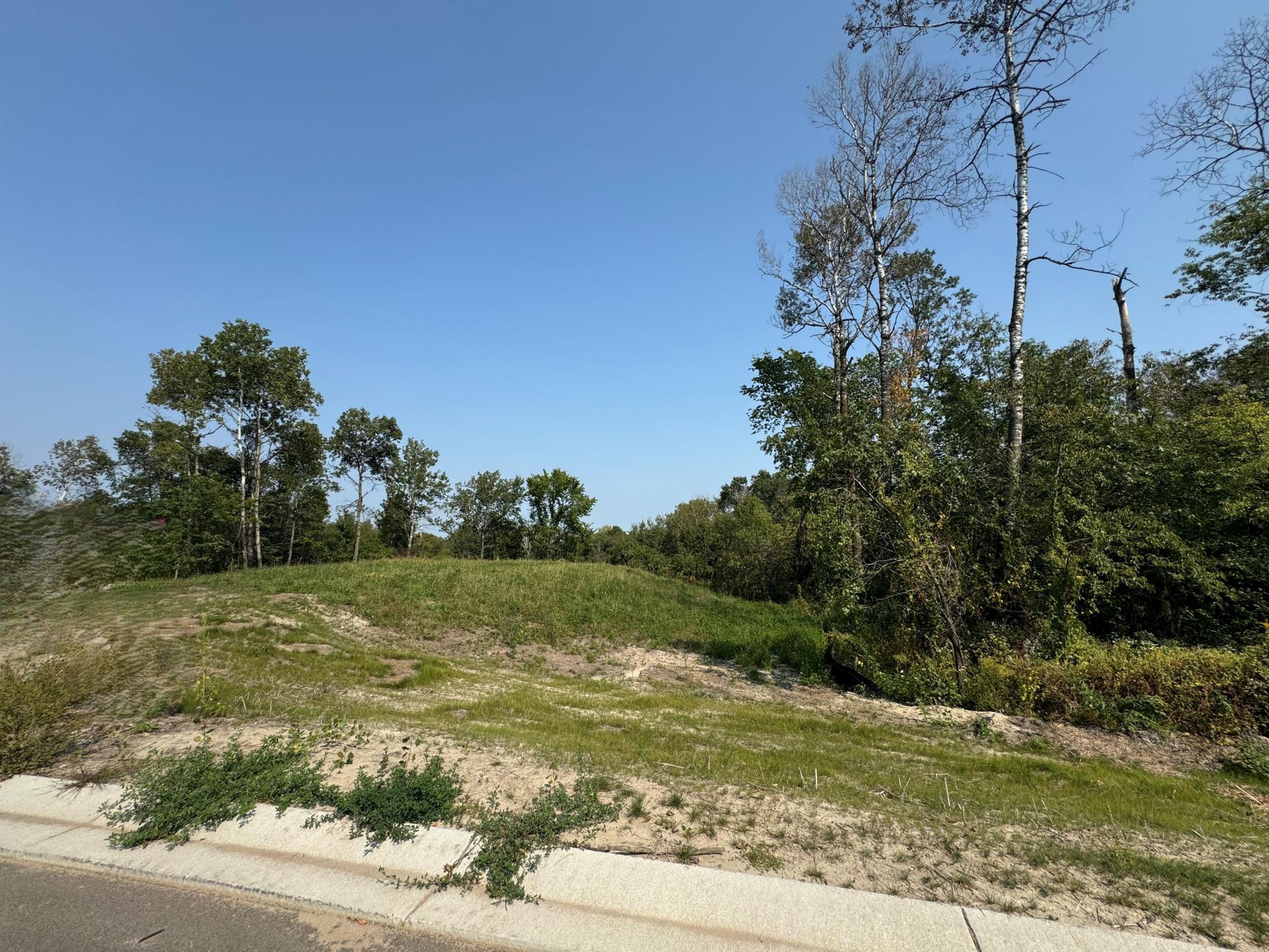 View of Land at 14985 Stutz Street, Ham Lake MN 55304, Ham Lake (2 of 4) - Mike Wilen | Minnesota Team Real Estate