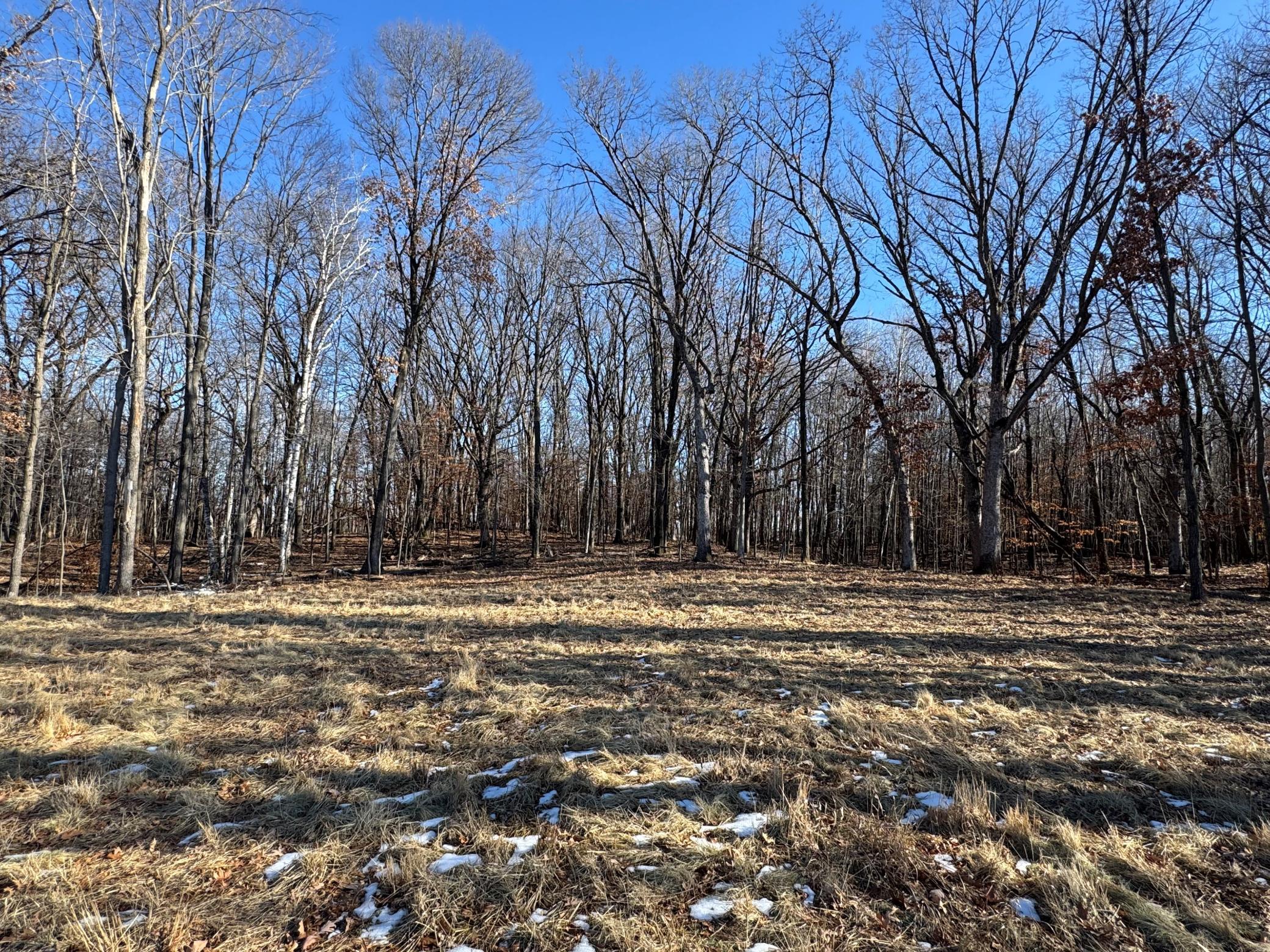 View of Land at 14775 Stutz Street, Ham Lake - Mike Wilen | Minnesota Team Real Estate