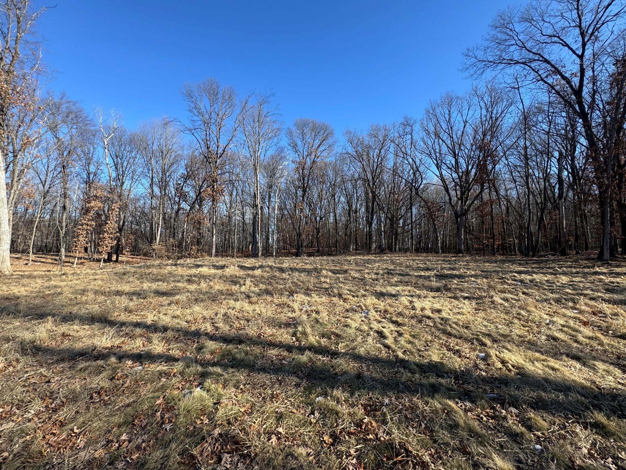 View of Land at 14775 Stutz Street, Ham Lake MN 55304, Ham Lake (3 of 8) - Mike Wilen | Minnesota Team Real Estate