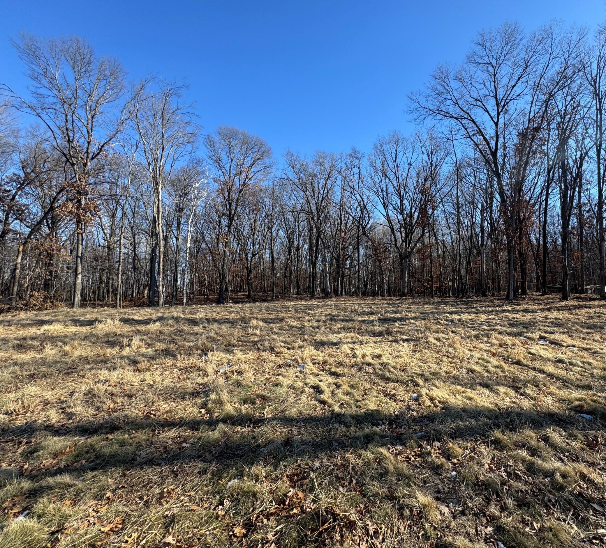 View of Land at 14775 Stutz Street, Ham Lake MN 55304, Ham Lake (4 of 8) - Mike Wilen | Minnesota Team Real Estate